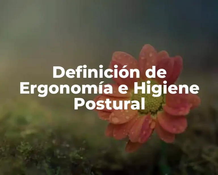 Definición de Ergonomía e Higiene Postural
