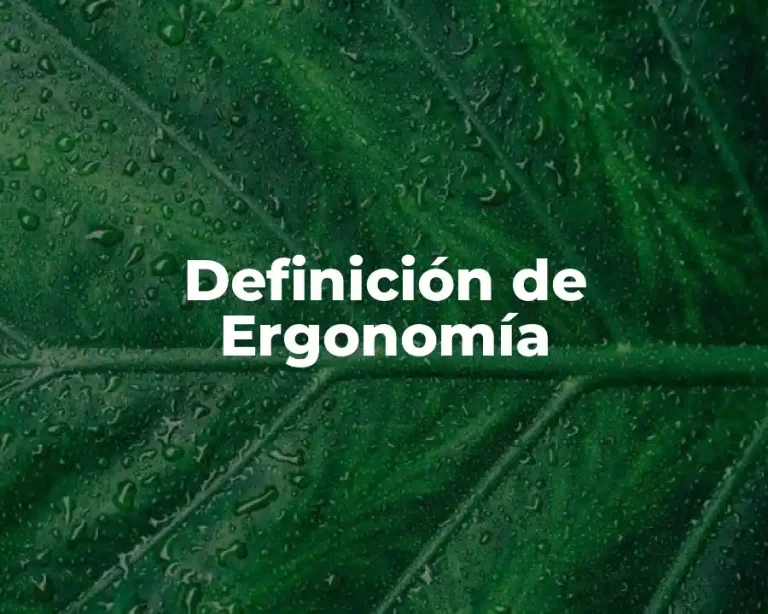 Definición de Ergonomía