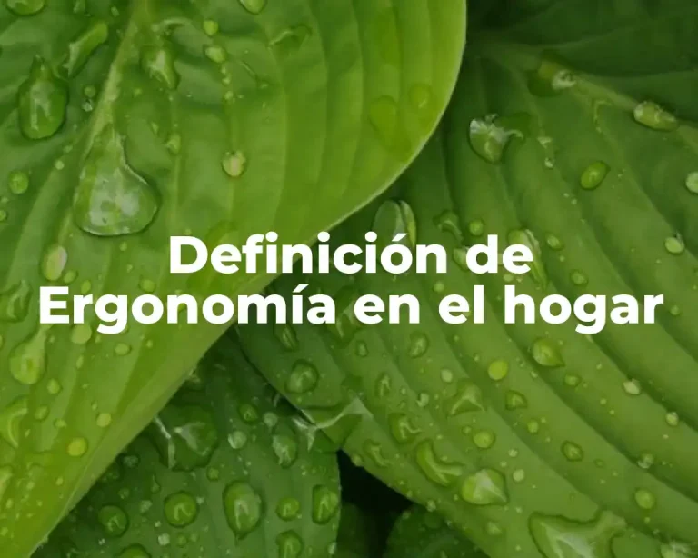 Definición de Ergonomía en el hogar