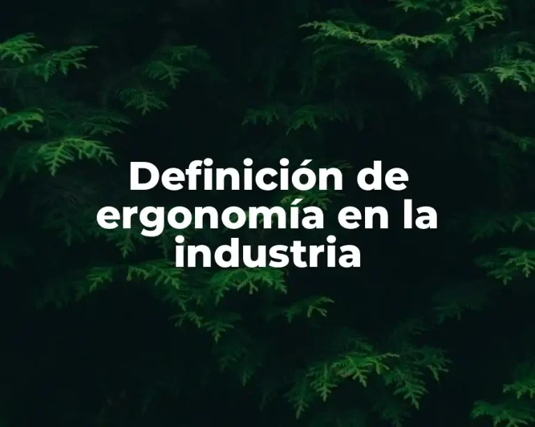 Definición de ergonomía en la industria