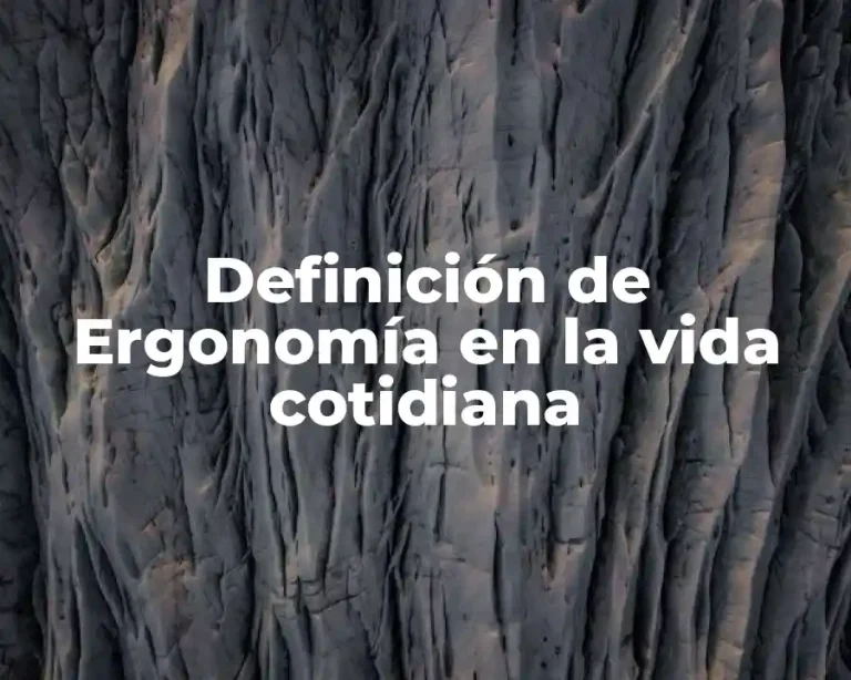 Definición de Ergonomía en la vida cotidiana