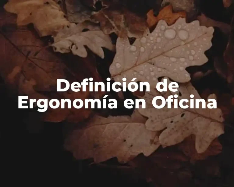 Definición de Ergonomía en Oficina