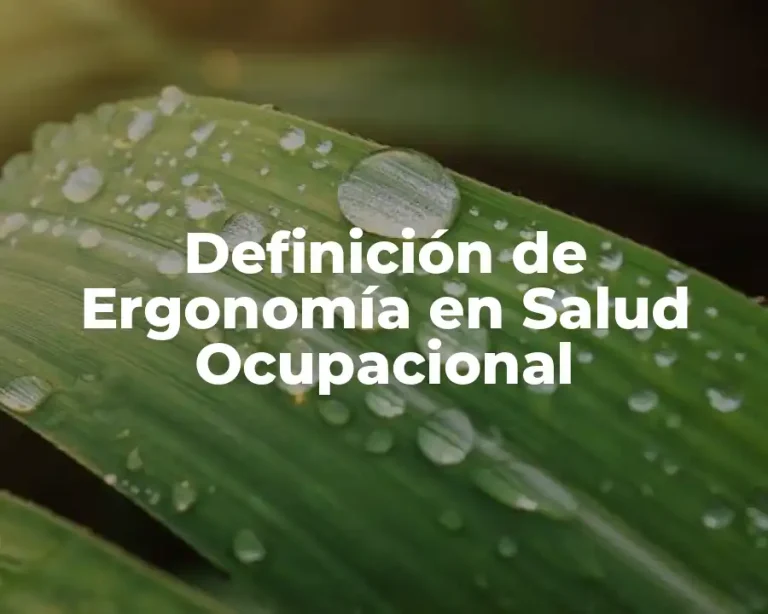 Definición de Ergonomía en Salud Ocupacional