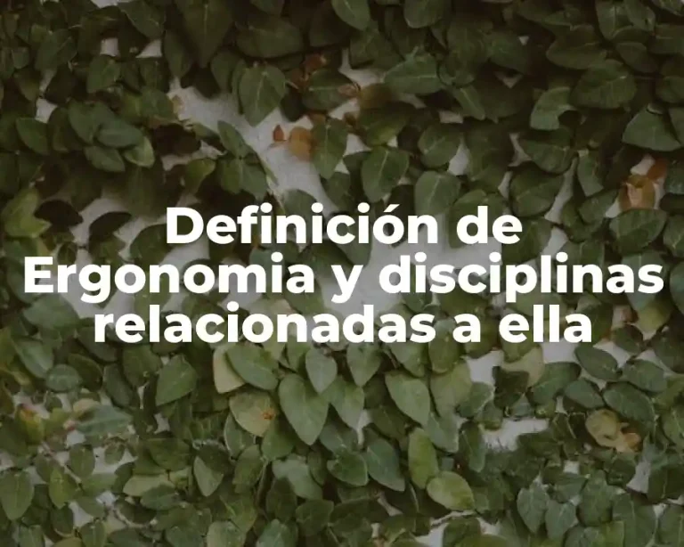 Definición de Ergonomia y disciplinas relacionadas a ella