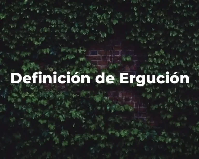 Definición de Ergución