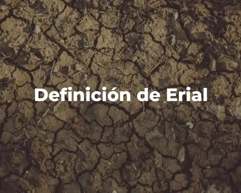 Definición de Erial