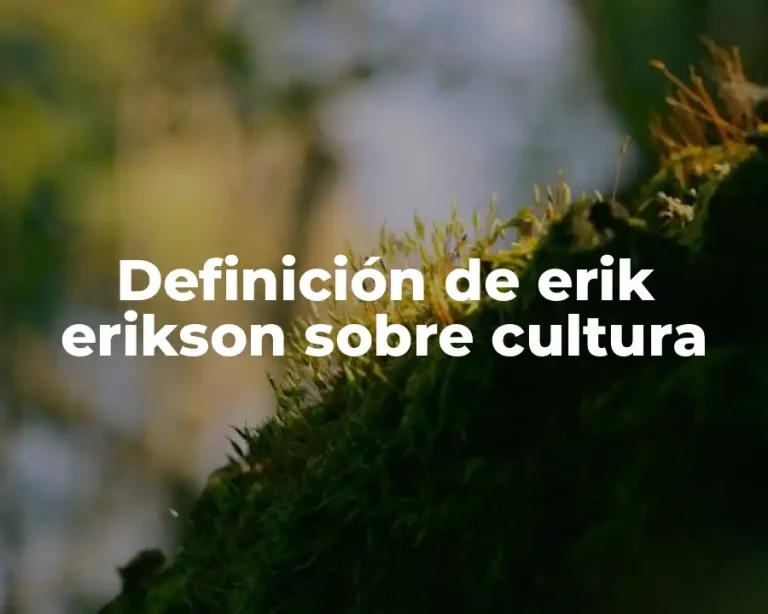 Definición de erik erikson sobre cultura