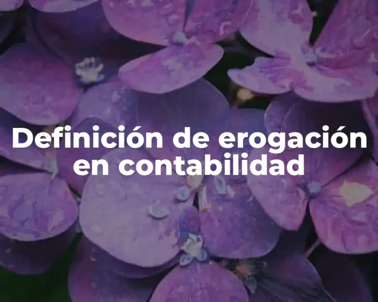 Definición de erogación en contabilidad