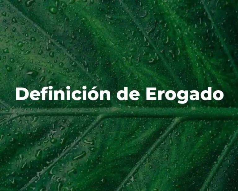 Definición de Erogado