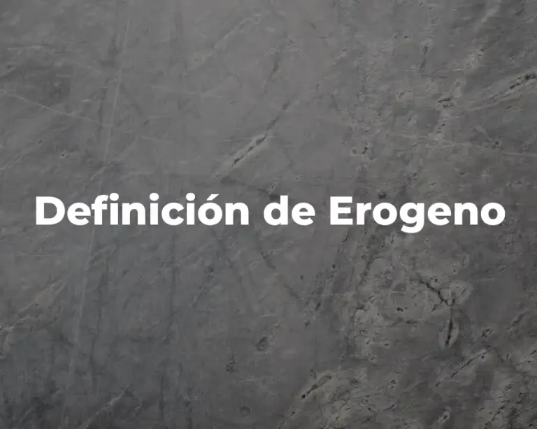 Definición de Erogeno