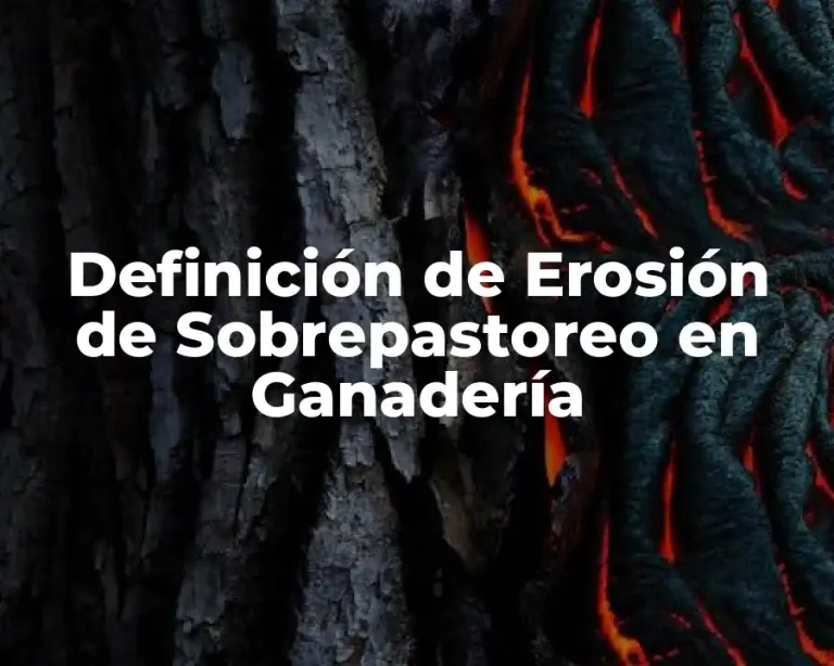 Definición de Erosión de Sobrepastoreo en Ganadería