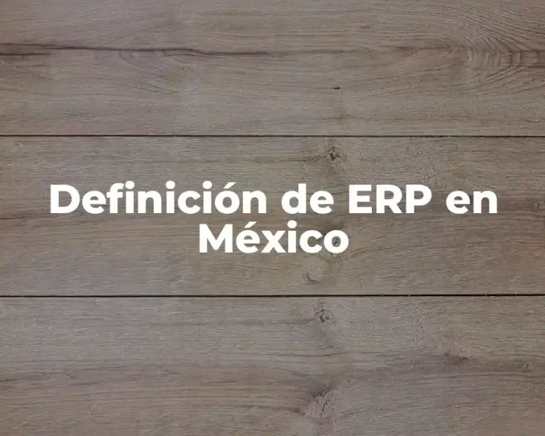 Definición de ERP en México