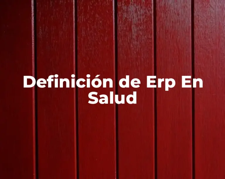 Definición de Erp En Salud