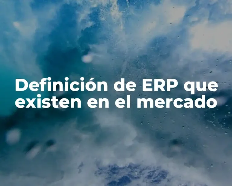Definición de ERP que existen en el mercado