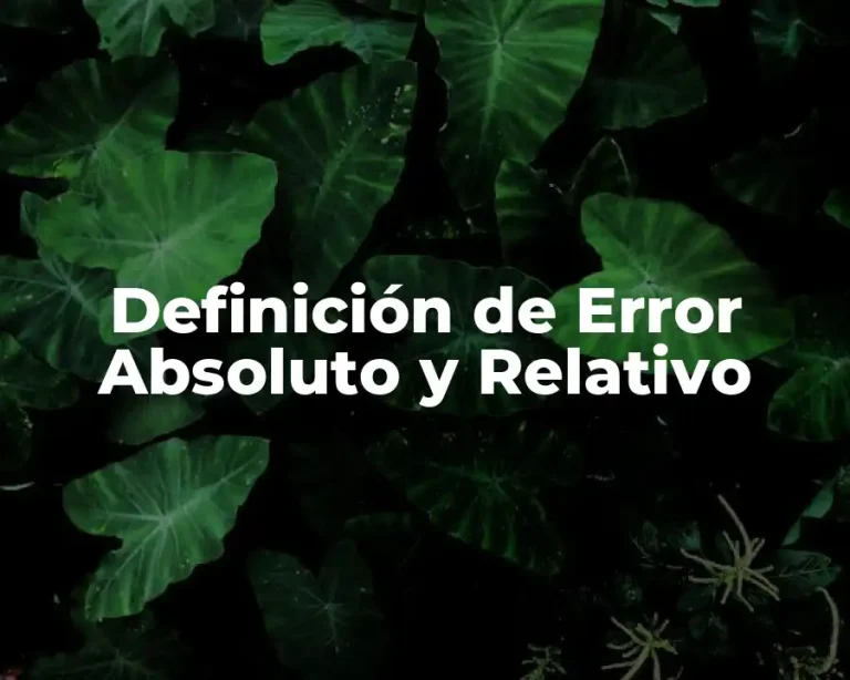 Definición de Error Absoluto y Relativo