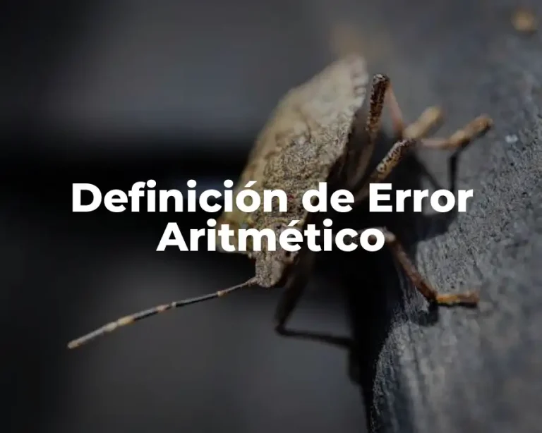 Definición de Error Aritmético