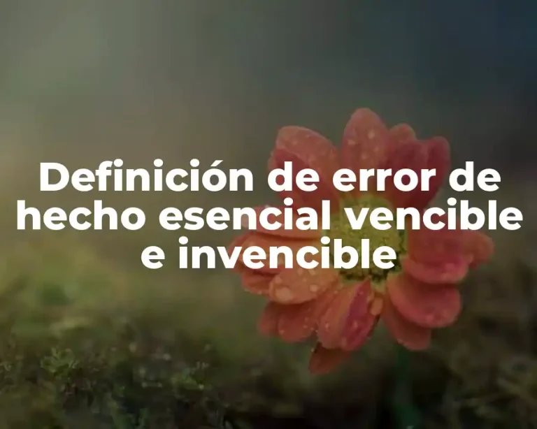 Definición de error de hecho esencial vencible e invencible