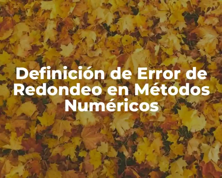 Definición de Error de Redondeo en Métodos Numéricos