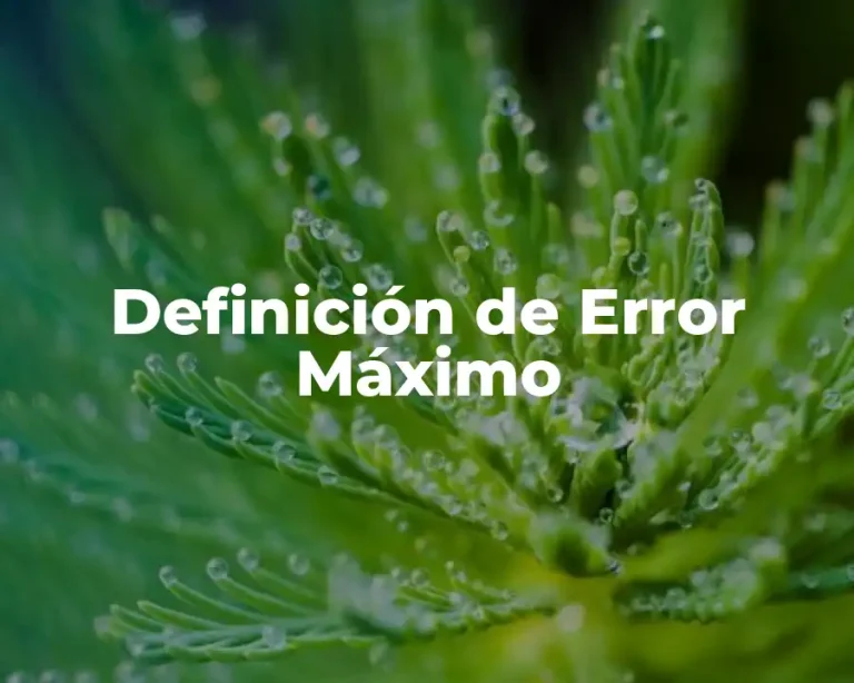 Definición de Error Máximo