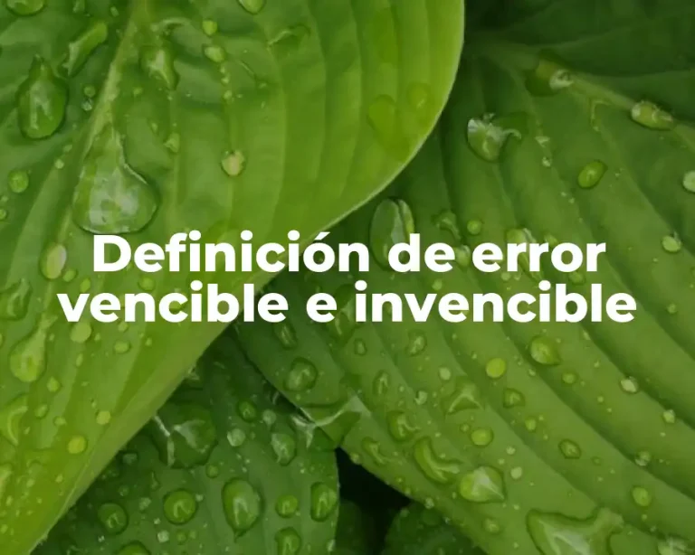 Definición de error vencible e invencible