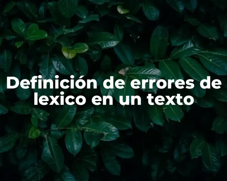 Definición de errores de lexico en un texto