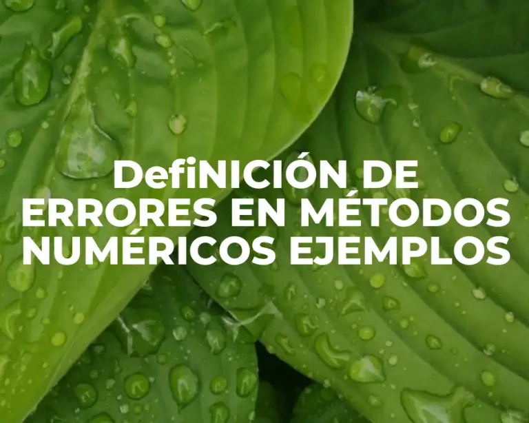 DefiNICIÓN DE ERRORES EN MÉTODOS NUMÉRICOS EJEMPLOS