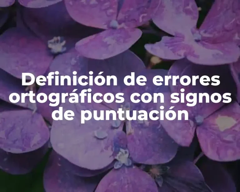 Definición de errores ortográficos con signos de puntuación