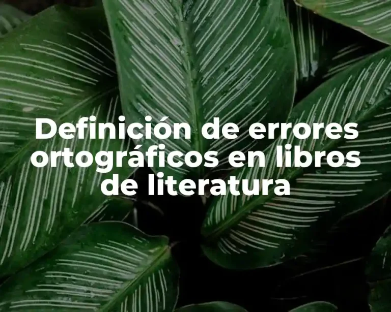 Definición de errores ortográficos en libros de literatura
