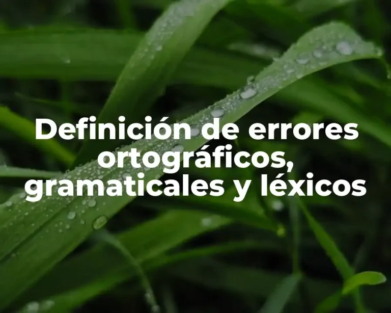 Definición de errores ortográficos, gramaticales y léxicos
