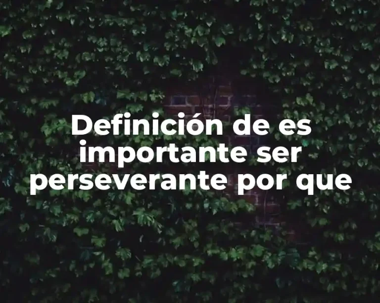 Definición de es importante ser perseverante por que