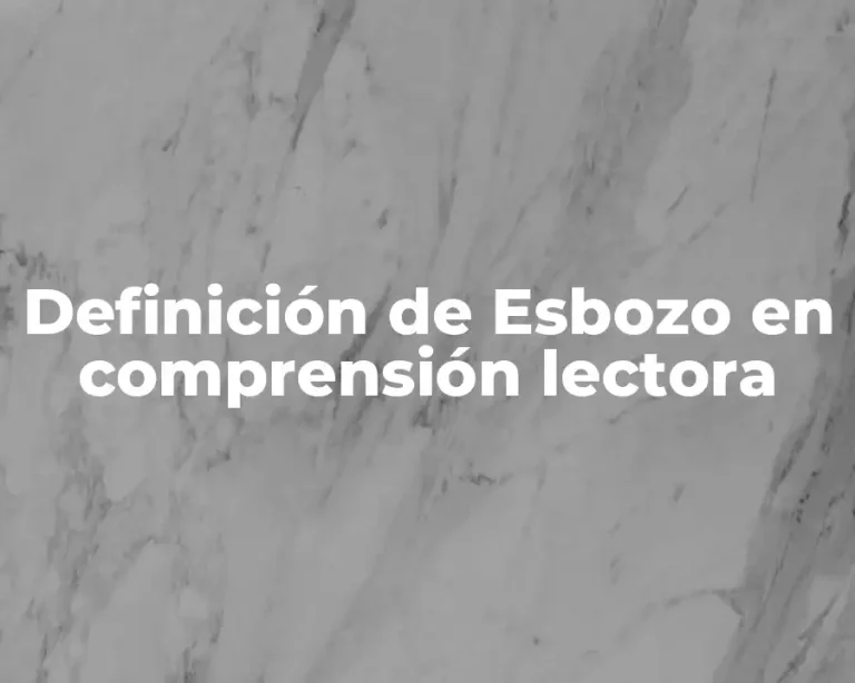 Definición de Esbozo en comprensión lectora