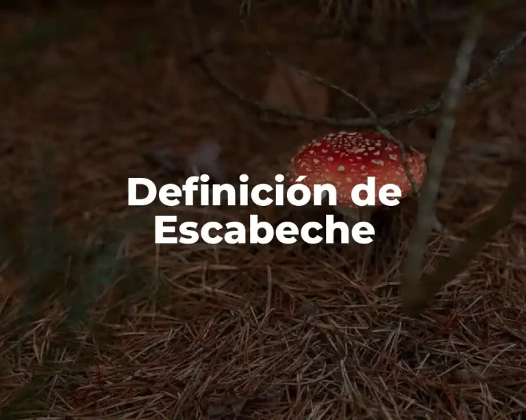Definición de Escabeche