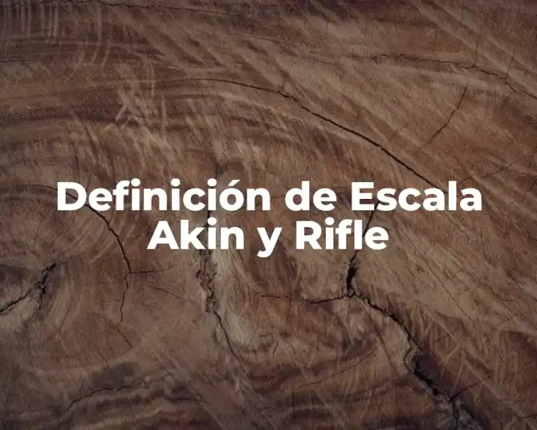 Definición de Escala Akin y Rifle