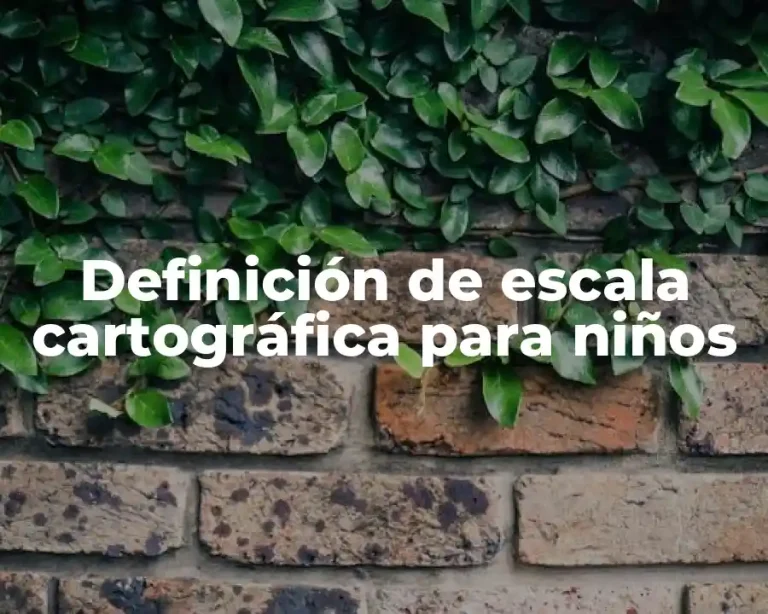 Definición de escala cartográfica para niños