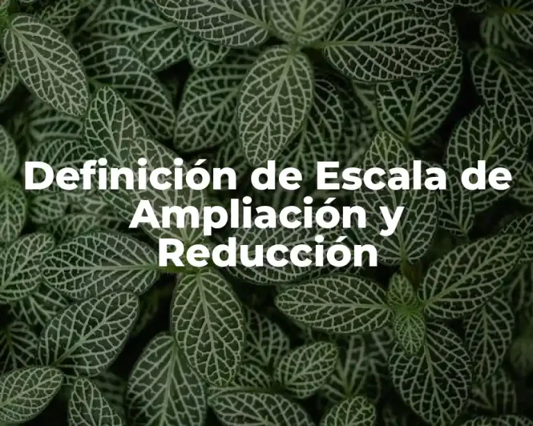Definición de Escala de Ampliación y Reducción