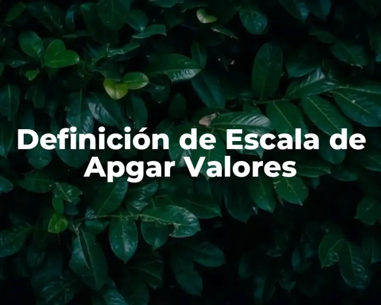Definición de Escala de Apgar Valores