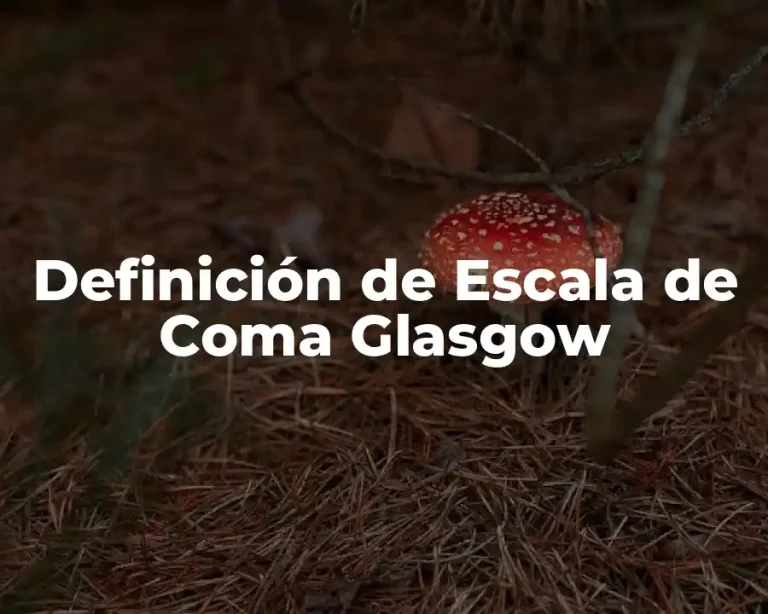Definición de Escala de Coma Glasgow