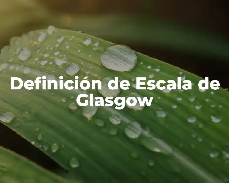 Definición de Escala de Glasgow