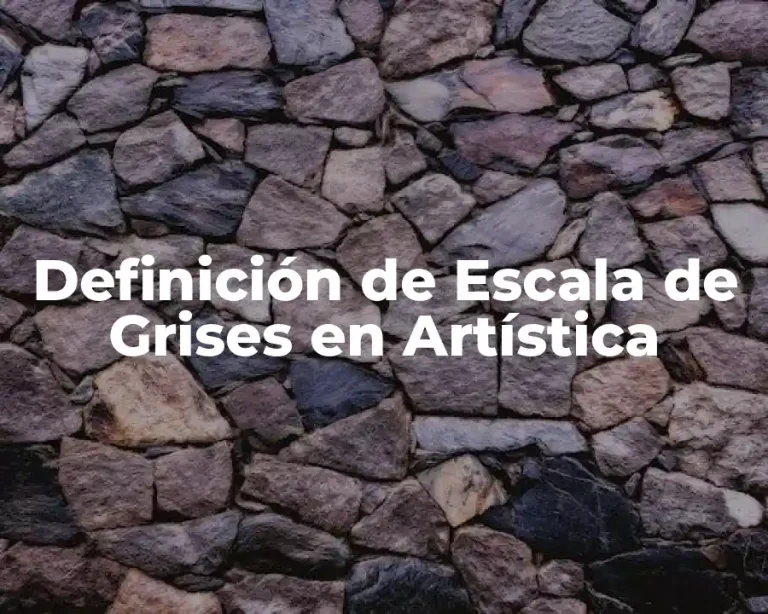 Definición de Escala de Grises en Artística
