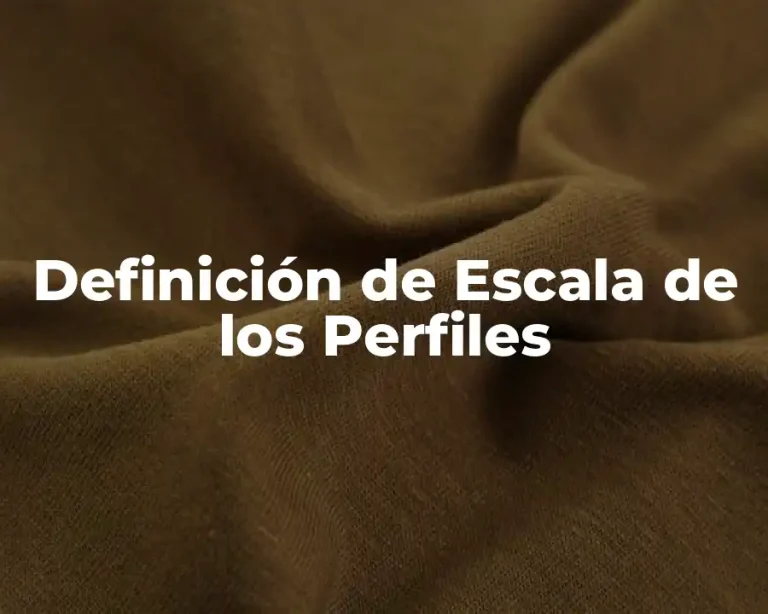 Definición de Escala de los Perfiles