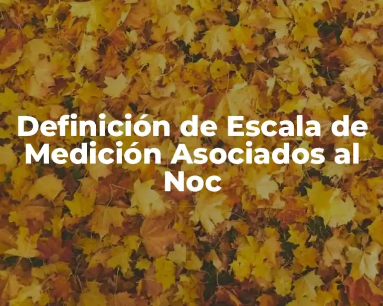 Definición de Escala de Medición Asociados al Noc