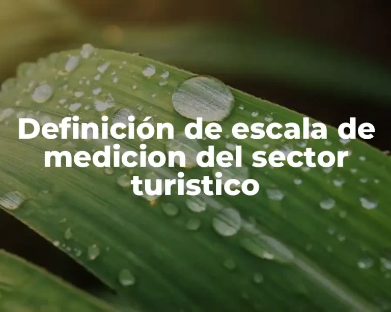 Definición de escala de medicion del sector turistico