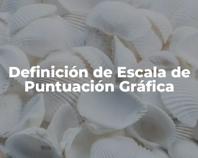 Definición de Escala de Puntuación Gráfica