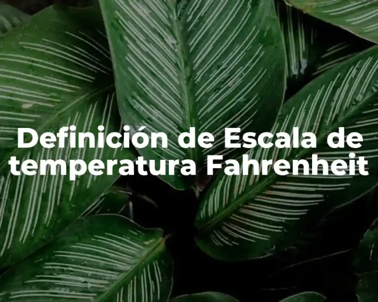 Definición de Escala de temperatura Fahrenheit