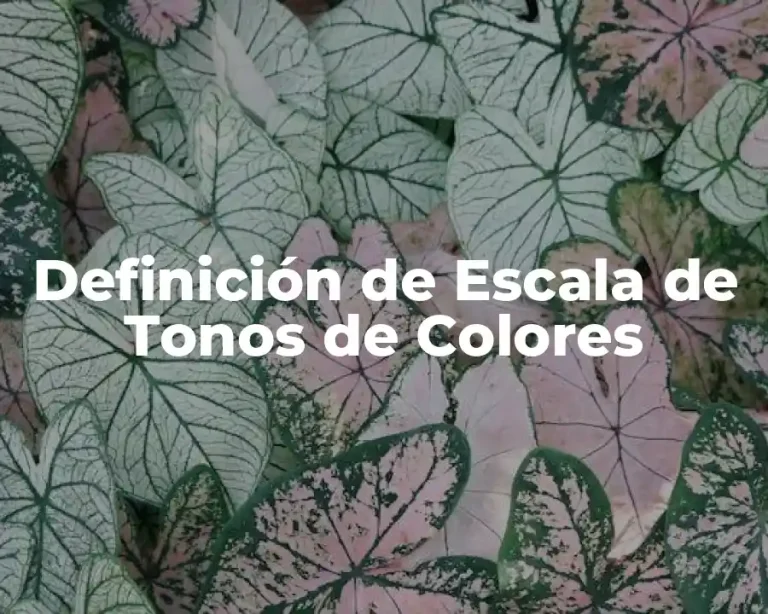 Definición de Escala de Tonos de Colores