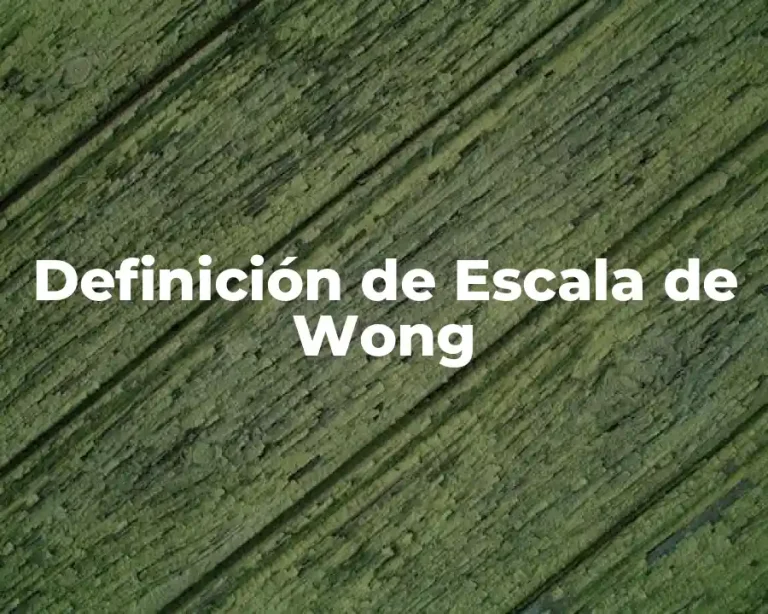 Definición de Escala de Wong