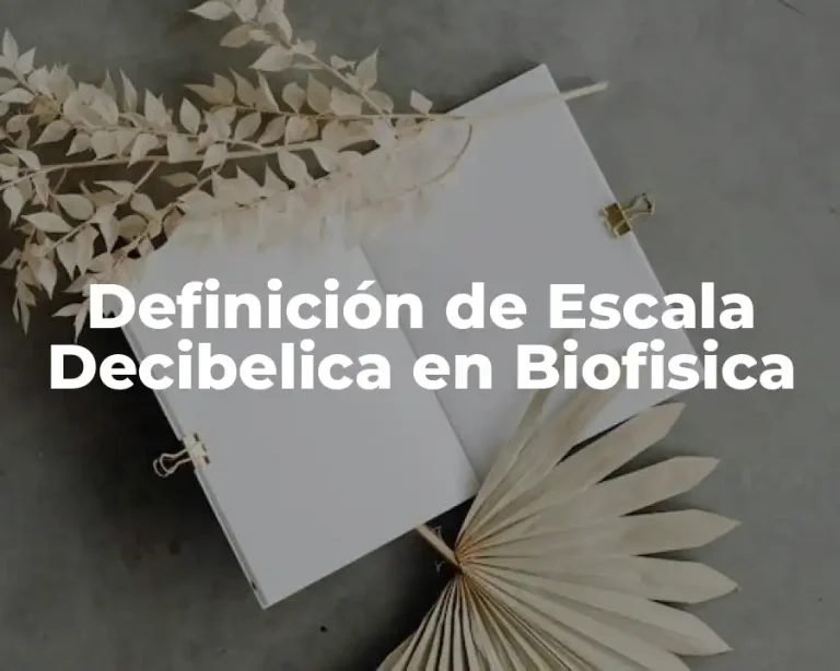 Definición de Escala Decibelica en Biofisica