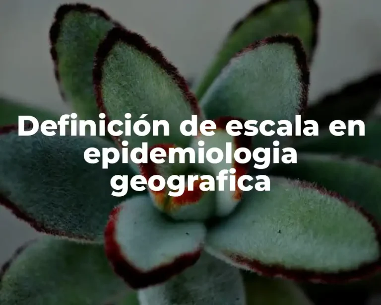Definición de escala en epidemiologia geografica