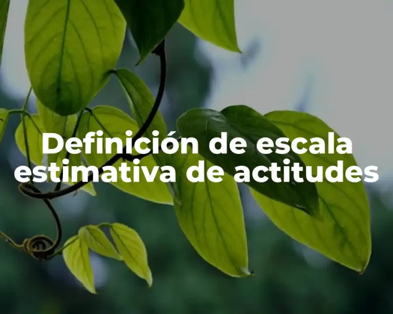Definición de escala estimativa de actitudes