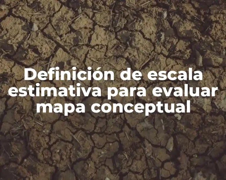 Definición de escala estimativa para evaluar mapa conceptual